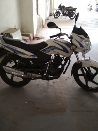 Indigo Streak TVS Sport