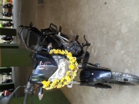 Black Bajaj Pulsar 135LS