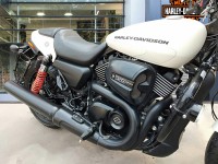 Harley Davidson Street Rod