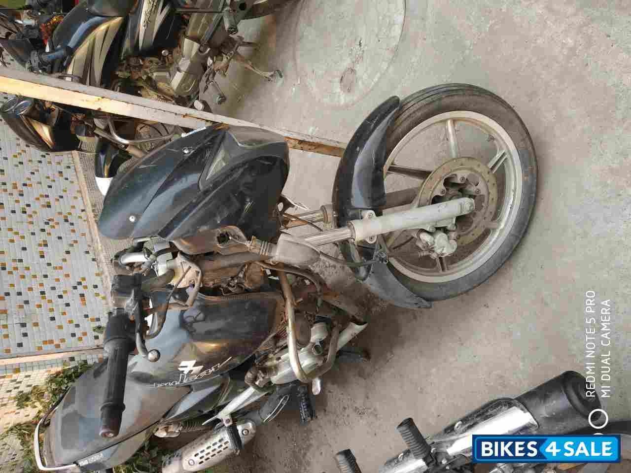 Black Bajaj Pulsar 150 DTSi