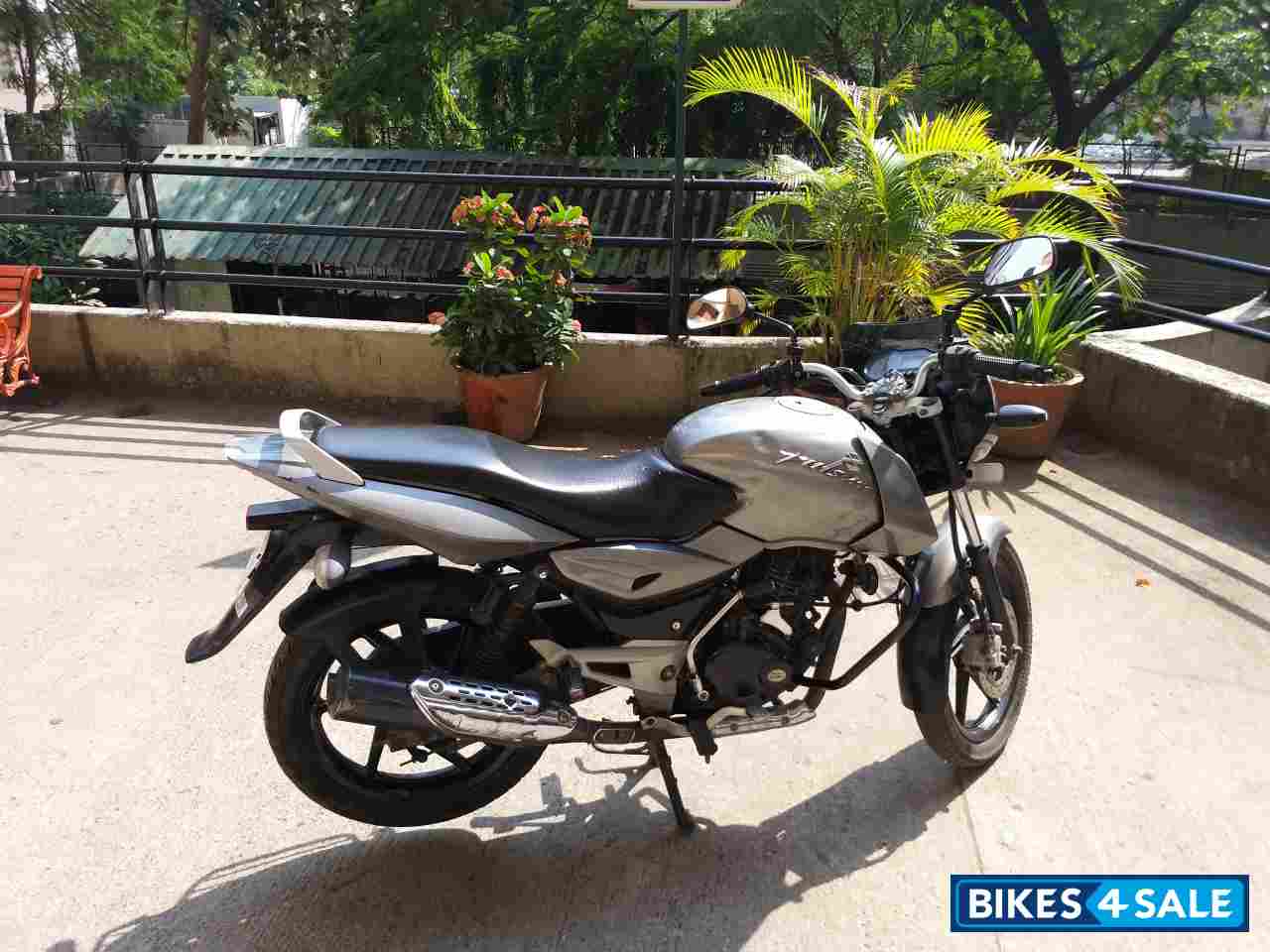 Grey Bajaj Pulsar 150 DTSi Grey Bajaj Pulsar 150 DTSi