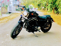 Blue Harley Davidson Iron 883