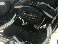 Blue Harley Davidson Iron 883