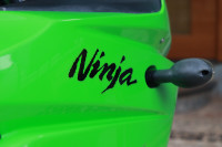 Kawasaki Ninja 250R