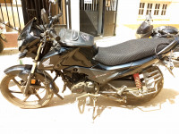 Black Honda Livo 110