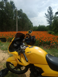 Daring Yellow Hero Karizma R