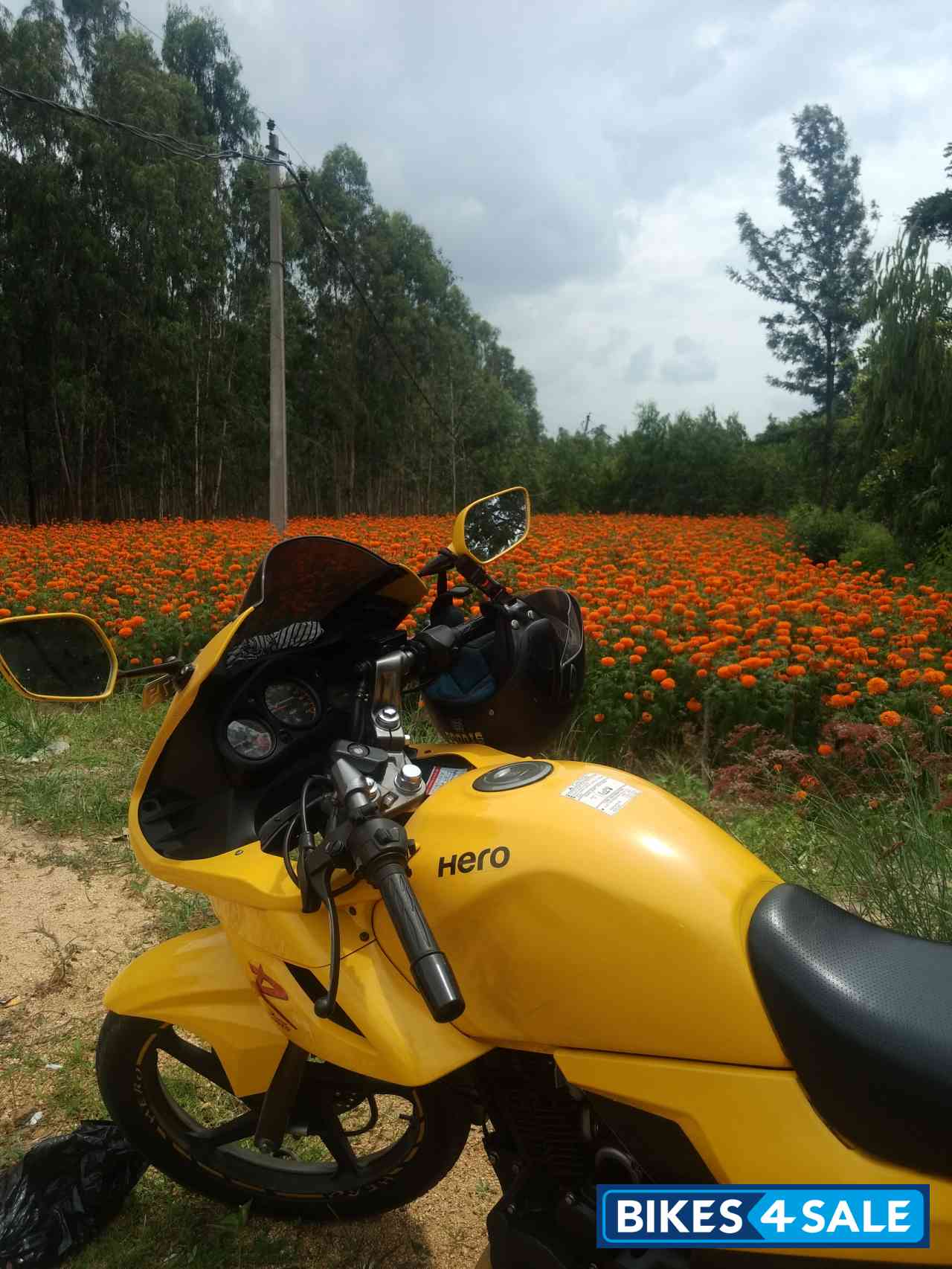 Daring Yellow Hero Karizma R