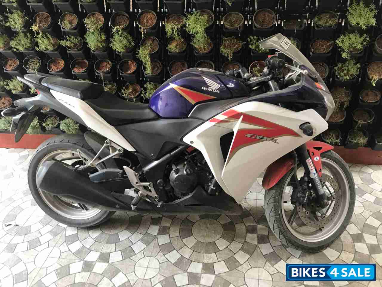 Honda CBR 250R