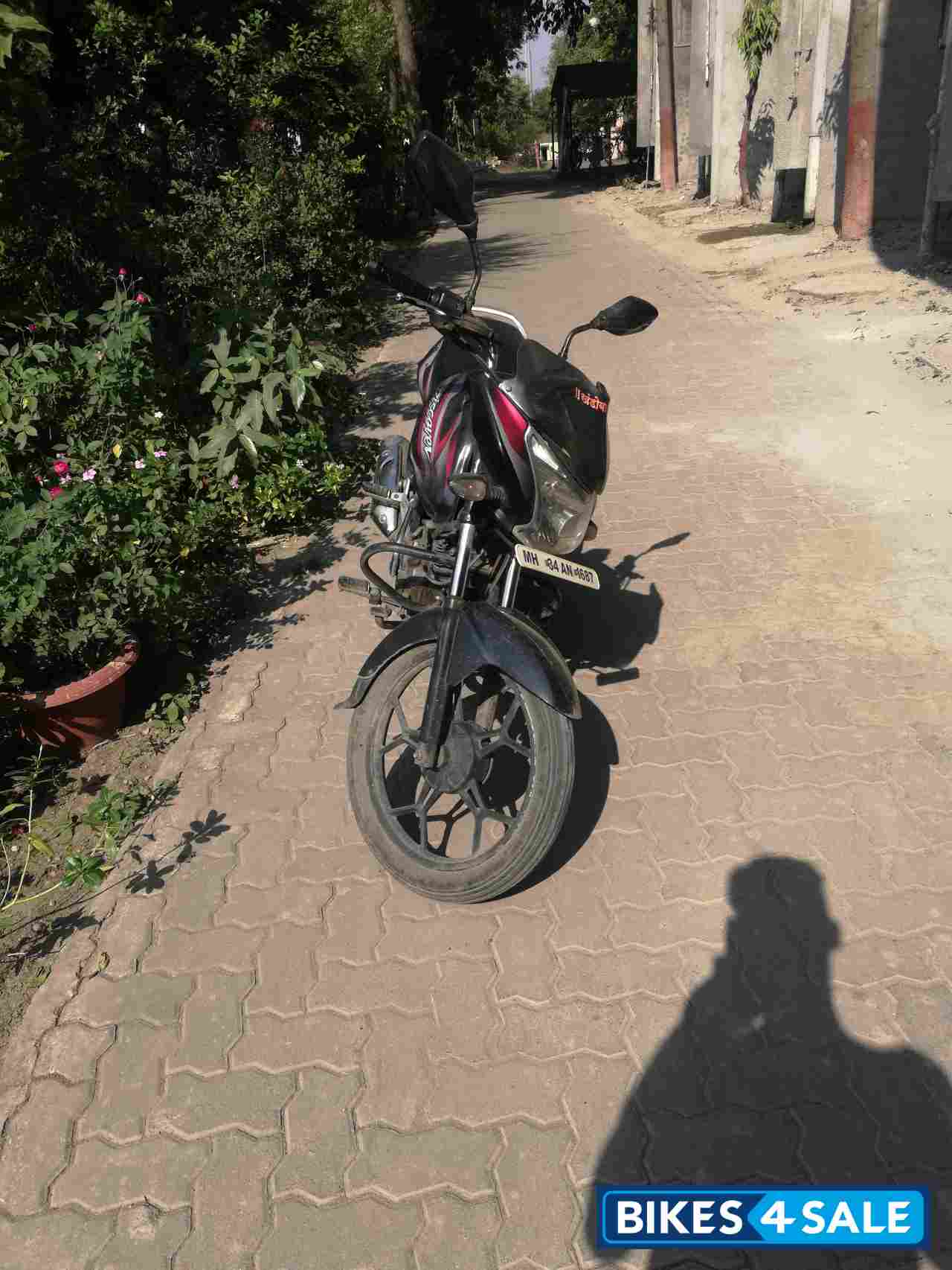 Black Red Bajaj Discover 100T