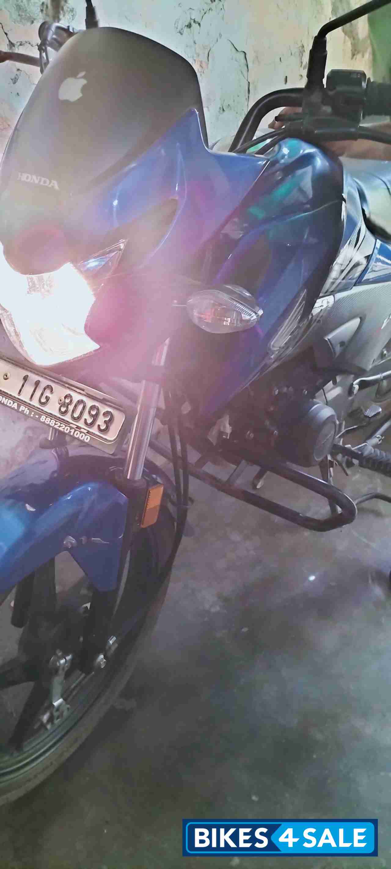 Royal Blue 🔵 Honda Livo 110