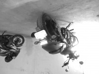 Harley Davidson Street 750