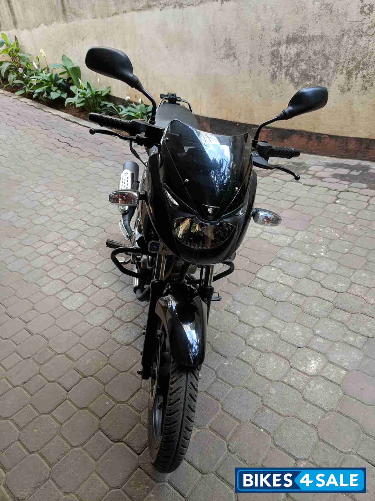 Bajaj Pulsar AS 150