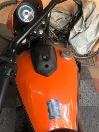 UM Renegade Sports S