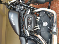 Matt Black Harley Davidson Iron 883