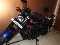 Superior Blue Harley Davidson Street 750