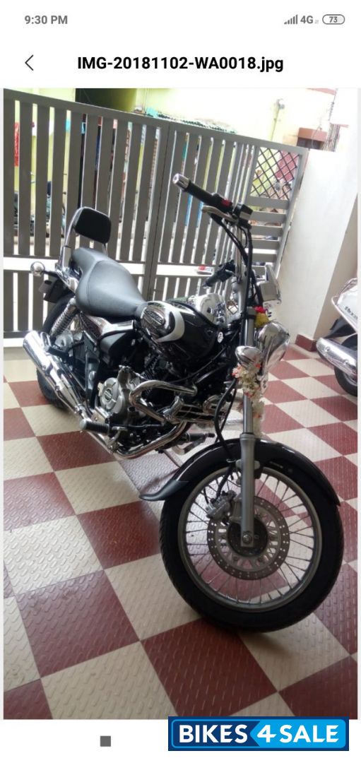Alburn Brown Bajaj Avenger Cruise 220