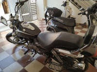 Alburn Brown Bajaj Avenger Cruise 220