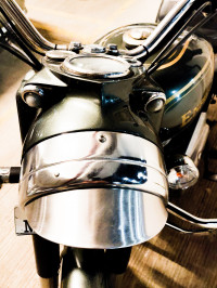 Metallic Green Royal Enfield Bullet 500