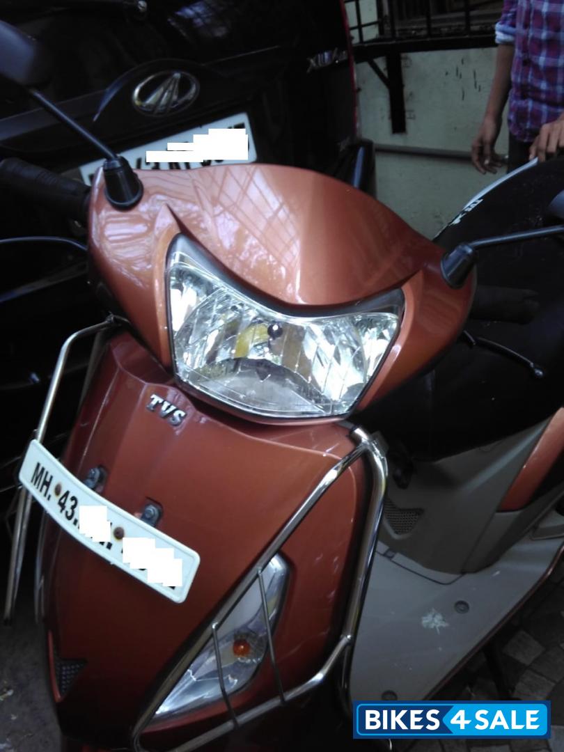 Stallion Brown TVS Jupiter ZX