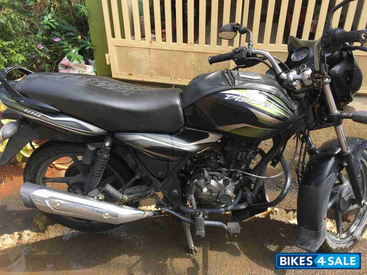 Green Bajaj Discover 100 DTS-Si