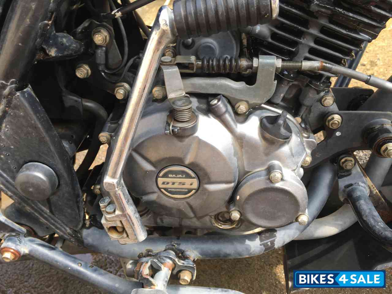 Green Bajaj Discover 100 DTS-Si