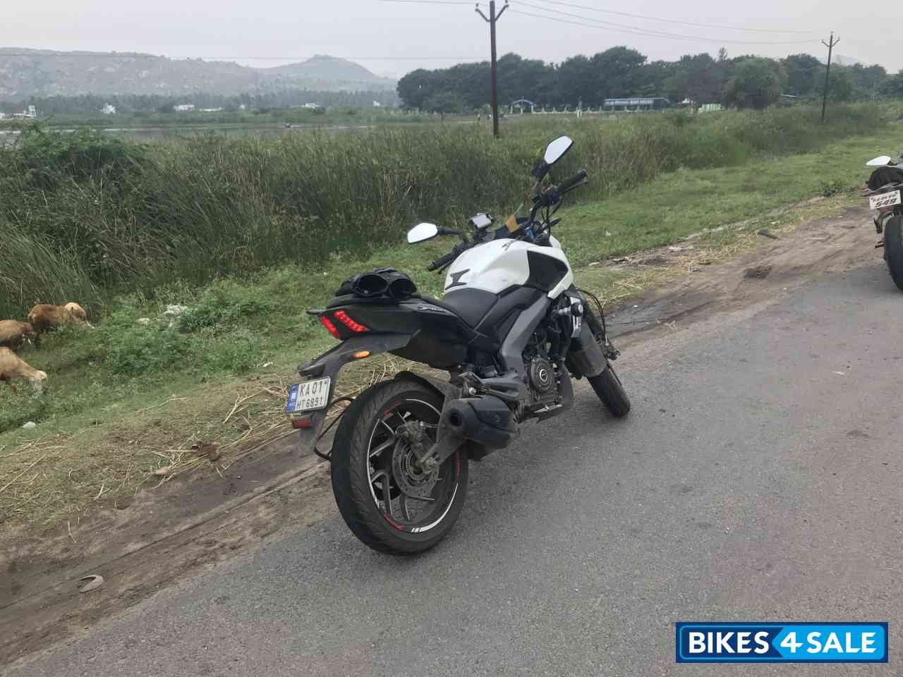 Moon White Bajaj Dominar 400 Disc