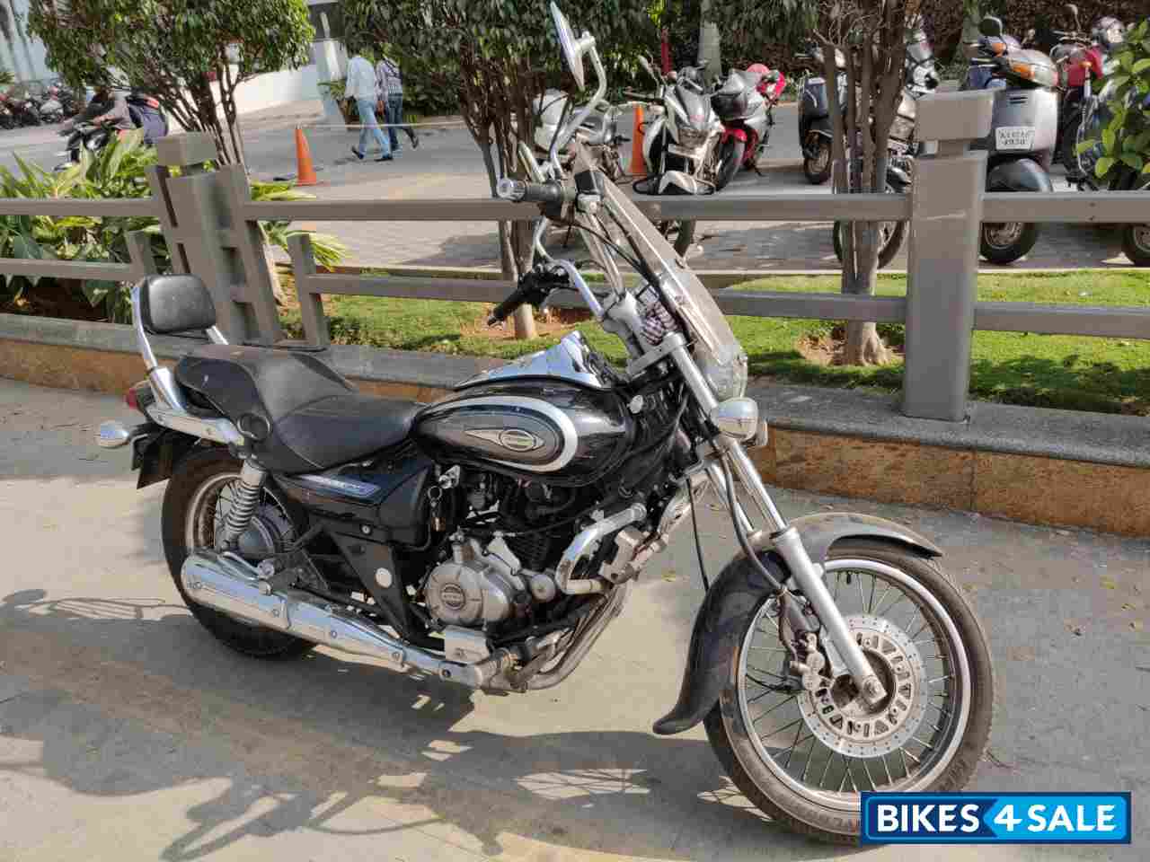 Divine Black Bajaj Avenger Cruise 220