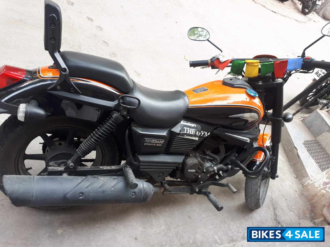 Young Orange UM Renegade Sports S