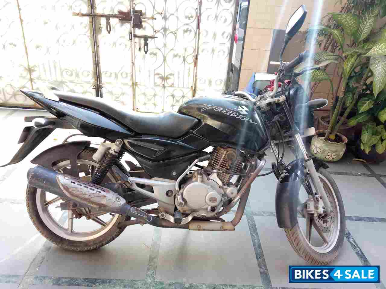Black Bajaj Pulsar 150 DTSi
