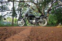 Black Bajaj Avenger Cruise 220
