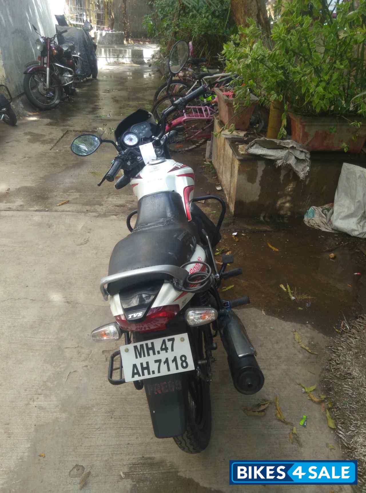 White And Red TVS Sport White And Red TVS Sport