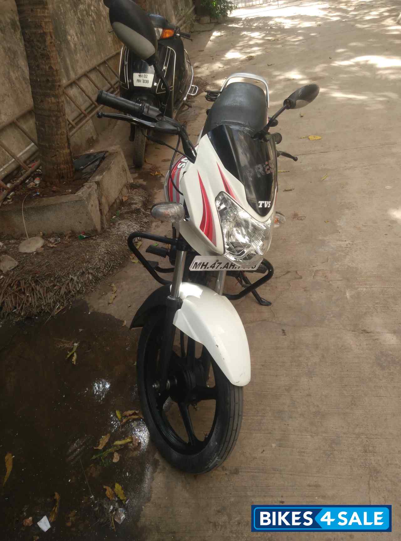 White And Red TVS Sport White And Red TVS Sport