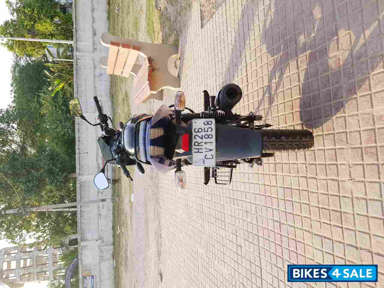 Saffire Blue Bajaj Pulsar STD