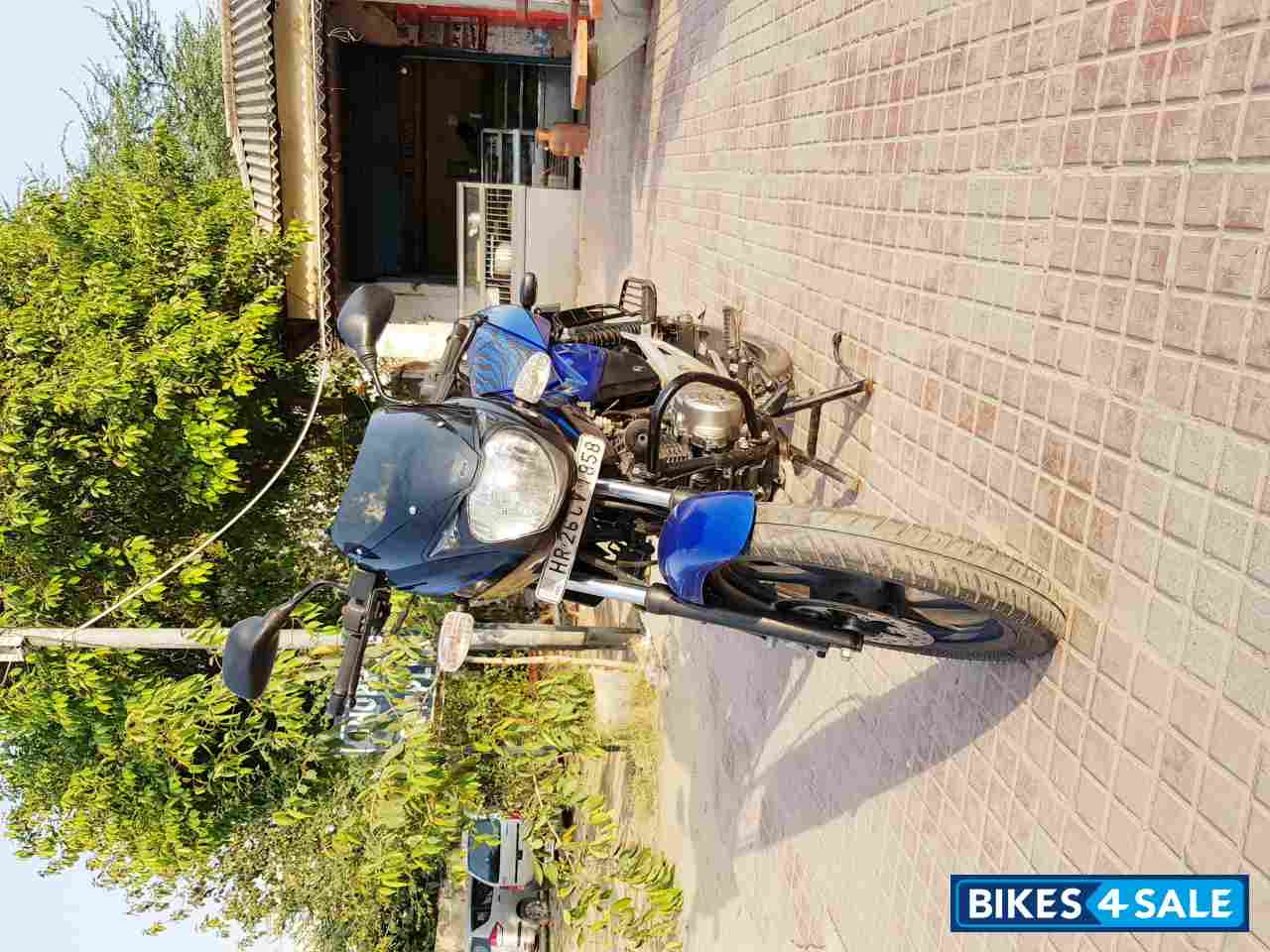 Saffire Blue Bajaj Pulsar STD