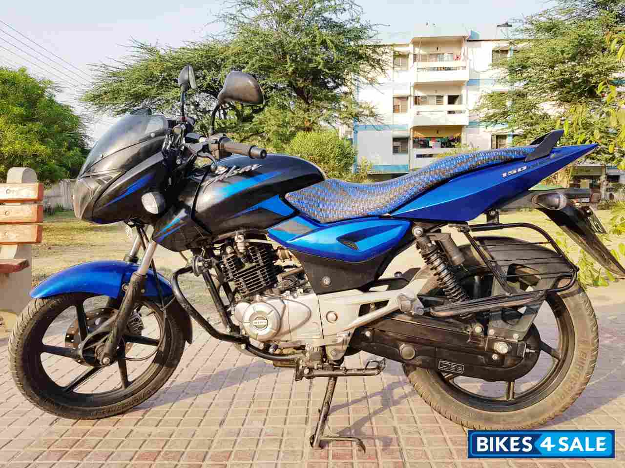 Saffire Blue Bajaj Pulsar STD