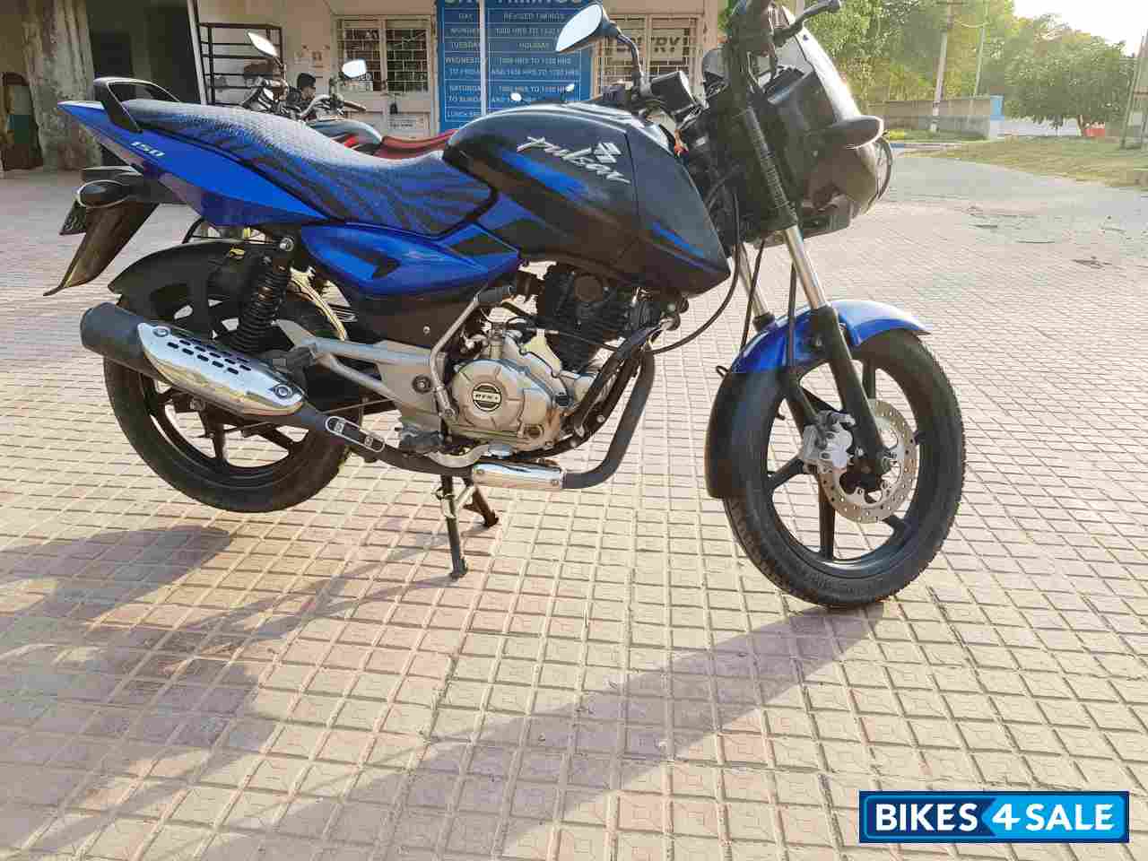 Saffire Blue Bajaj Pulsar STD