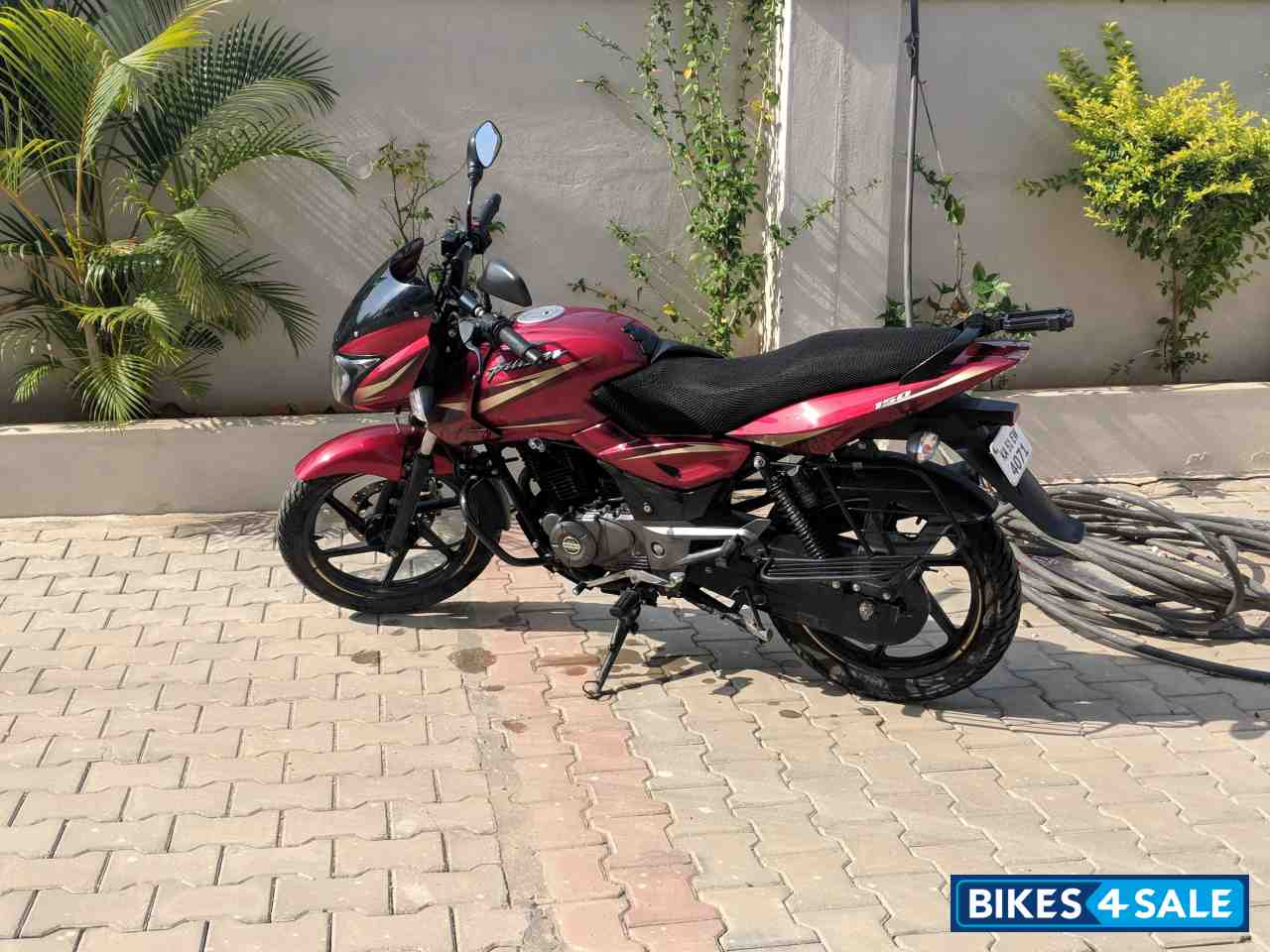 Dyno Red Bajaj Pulsar 150 DTSi