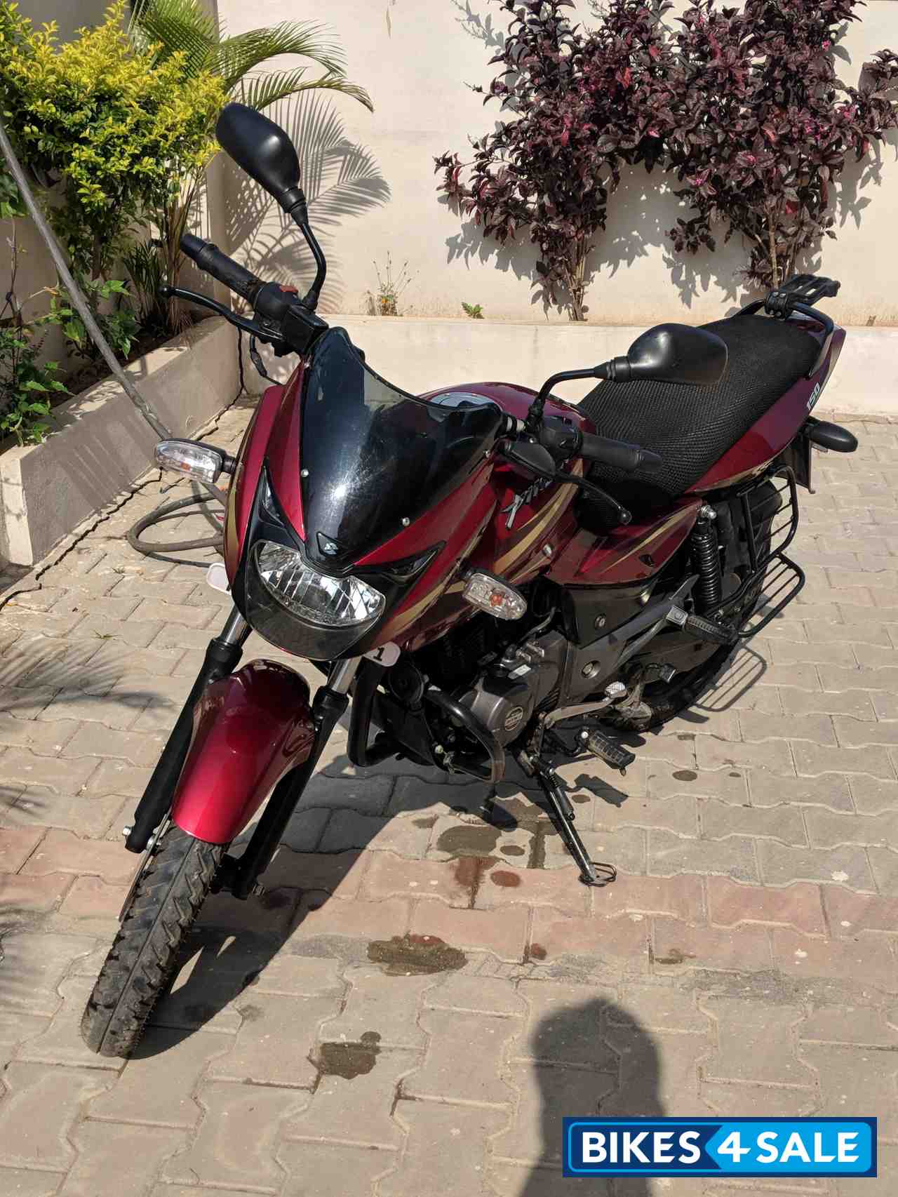 Dyno Red Bajaj Pulsar 150 DTSi