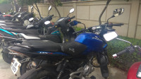 Royal Blue Bajaj Pulsar 135LS