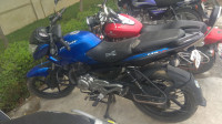 Royal Blue Bajaj Pulsar 135LS
