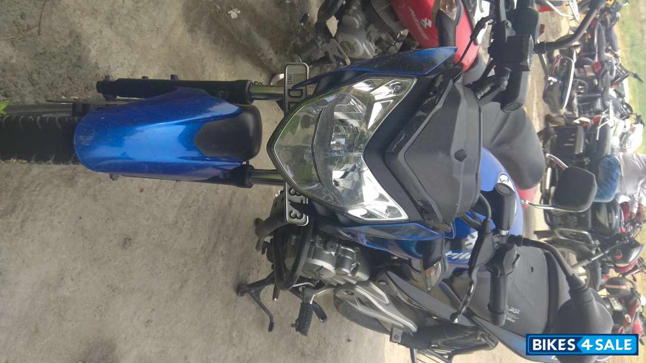 Royal Blue Bajaj Pulsar 135LS