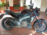Twilight Plum Bajaj Dominar 400