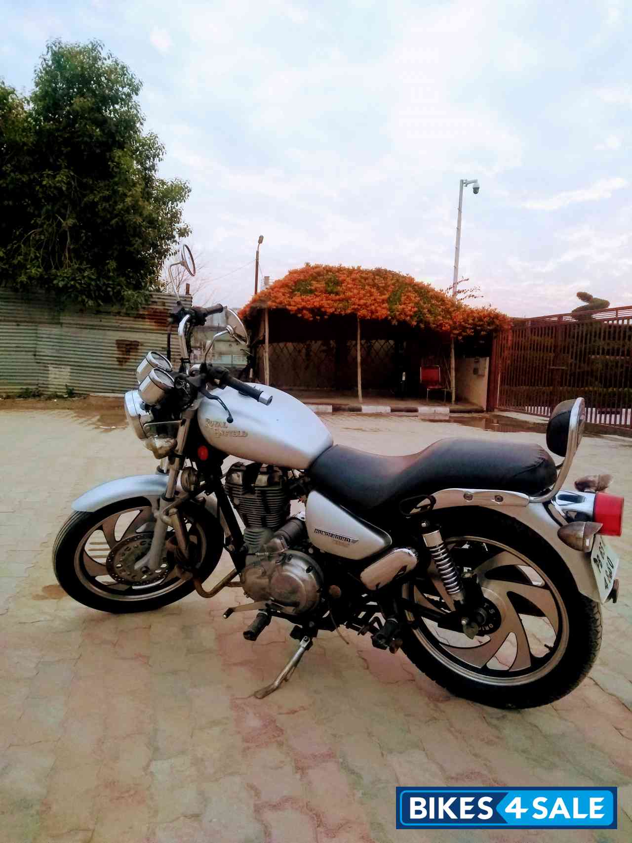 Silver Royal Enfield Thunderbird TwinSpark 350