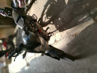 Black Bajaj Pulsar 135LS