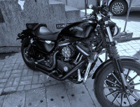 Mat Black Harley Davidson Iron 883