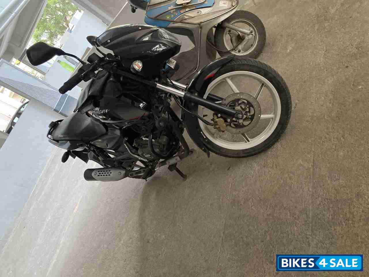 Blackpack Bajaj Pulsar 150 DTSi