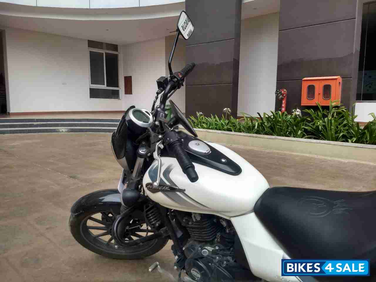 Moon White Bajaj Avenger Street 220