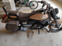 UM Renegade Commando Mojave