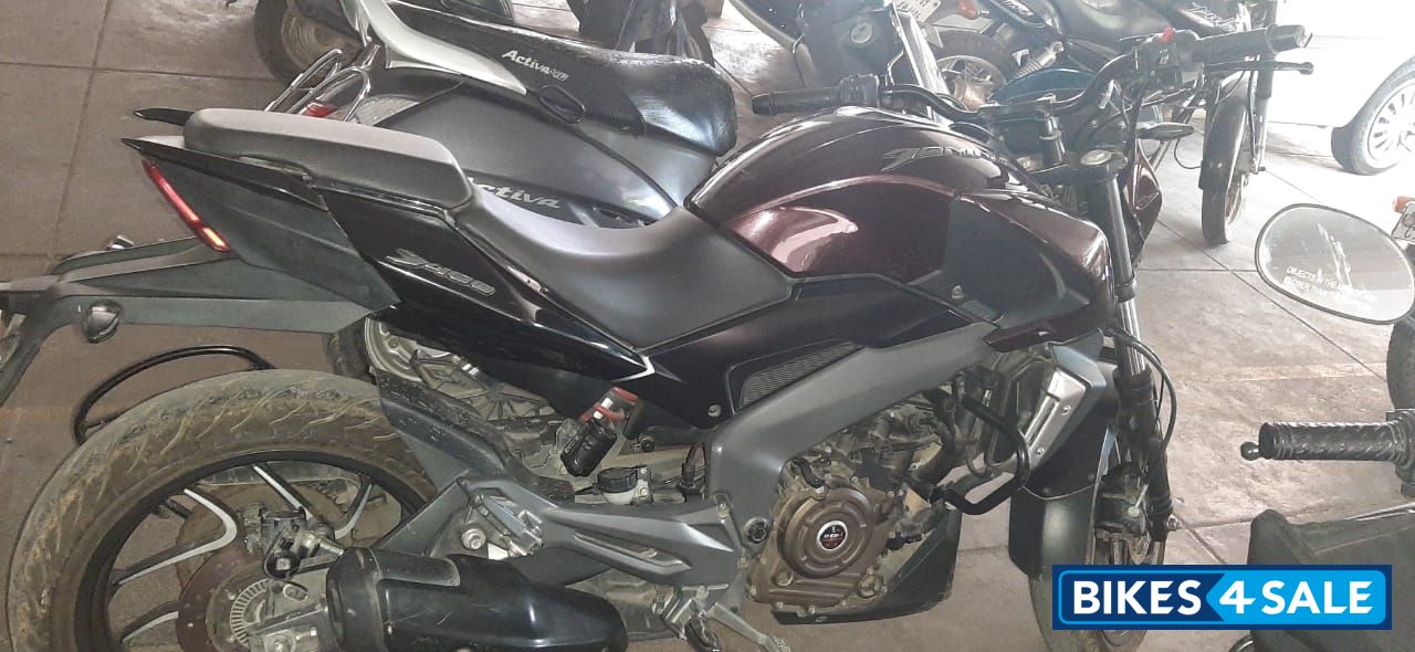 Plam Bajaj Dominar 400 Disc