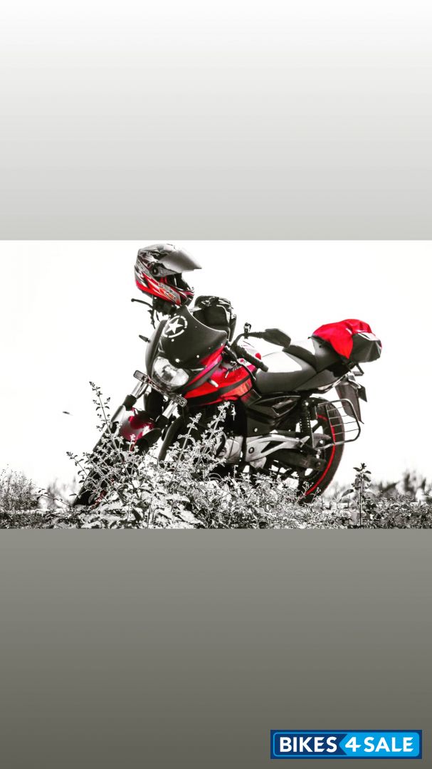 Red Bajaj Pulsar 180 DTSi
